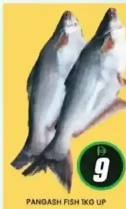 Al Madina Pangash fish offer