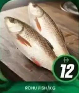 Al Madina Rohu fish offer