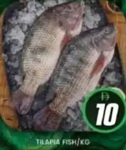 Al Madina Tilapia fish offer