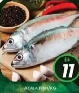 Al Madina Ayala fish offer
