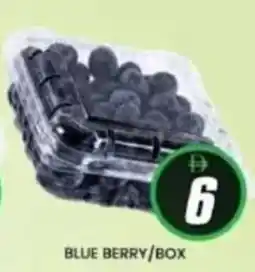 Al Madina Blue berry offer