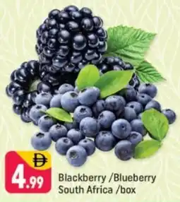 Shaklan Blackberry/Blueberry South Africa offer