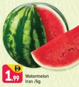Shaklan Watermelon Iran offer