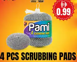 Dream Land Center Scrubbing pads offer