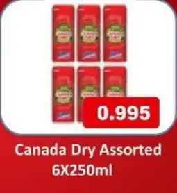 Aswaq Ramez Canada Dry offer