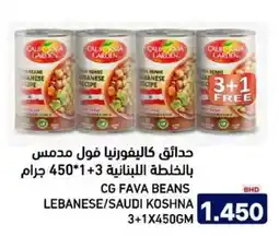 Aswaq Ramez Cg fava beans lebanese/saudi koshna offer