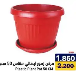 Aswaq Ramez Plastic Plant Pot offer