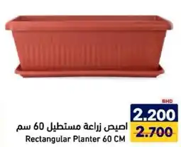 Aswaq Ramez Rectangular Planter offer
