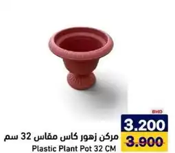 Aswaq Ramez Plastic Plant Pot offer