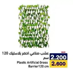 Aswaq Ramez Plastic Artificial Grass Barrier offer