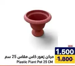 Aswaq Ramez Plastic Plant Pot offer