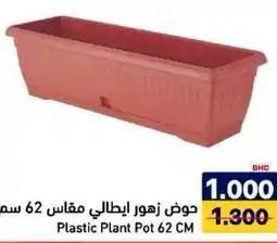 Aswaq Ramez Plastic Plant Pot offer