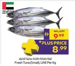 Abu Dhabi Coop Fresh Tuna (Small), UAE offer