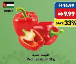 Viva Red Capsicum offer