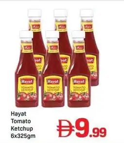 Day To Day Hayat Tomato Ketchup offer
