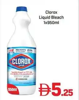 Day To Day Clorox Liquid Bleach offer