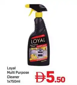 Day To Day Loyal Multi Purpose Cleaner offer