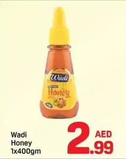 Day To Day Wadi Honey offer