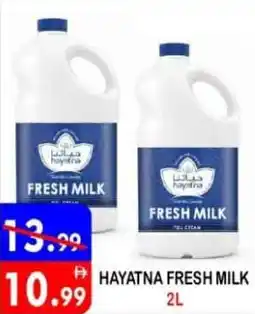 United Hypermarket Hayatna fresh milk offer