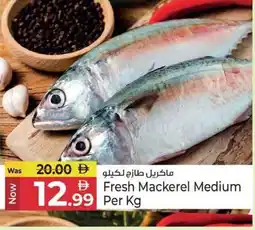 Kenz Hypermarket Fresh Mackerel Medium offer