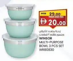 KM Trading Winsor multi-purpose bowl offer