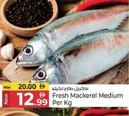 Kenz Hypermarket Fresh Mackerel Medium offer
