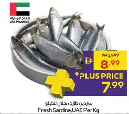 Abu Dhabi Coop Fresh Sardine, UAE offer