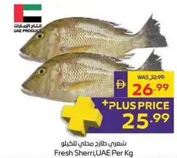 Abu Dhabi Coop Fresh Sherri, UAE offer