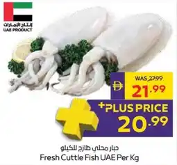 Abu Dhabi Coop Fresh Cuttle Fish UAE offer