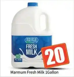 Bigmart Marmum Fresh Milk offer