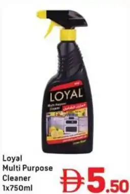 Day To Day Loyal Multi Purpose Cleaner offer
