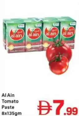 Day To Day Al Ain Tomato Paste offer