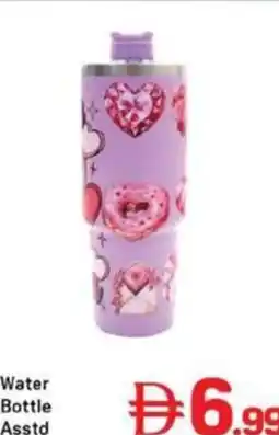 Day To Day Water Bottle Asstd offer