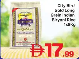 Day To Day City Bird Gold Long Grain Indian Biryani Rice offer