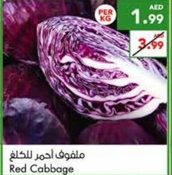 Almaya supermarket Red cabbage offer