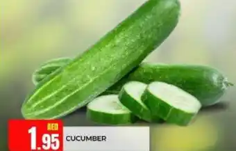 Abraj Al Madina Cucumber offer