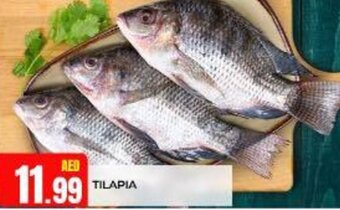 Abraj Al Madina Tilapia offer