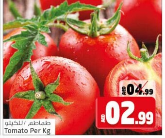 Kenz Hypermarket Tomato Per Kg offer