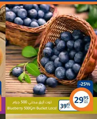Aswaaq Blueberry 500Gm Bucket Local offer