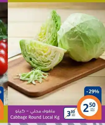Aswaaq Cabbage Round Local Kg offer