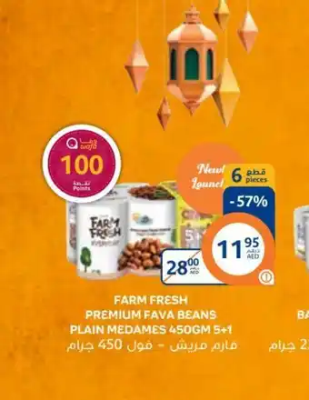 Aswaaq Farm Fresh Premium Fava Beans Plain Medames 450gm 5+1 offer