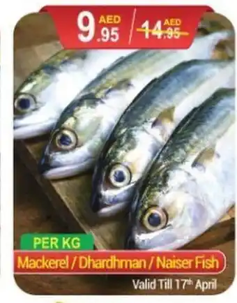 New W Mart Mackerel / Dhardhman / Naiser Fish Per Kg offer