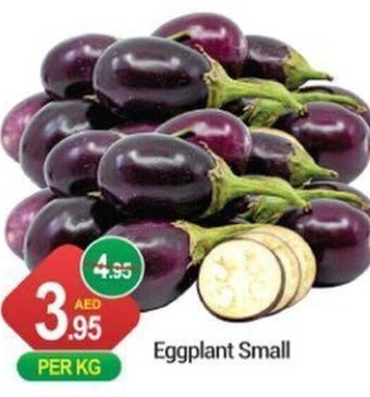 Eggplant Small