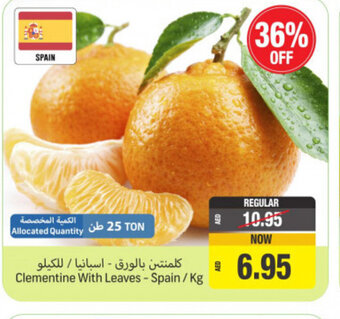 Union Coop Clementine With Leaves - Spain / Kg offer