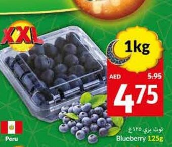 Viva Blueberry 125g offer