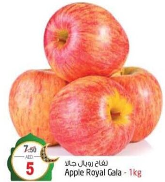 Safari Hypermarket Apple Royal Gala - 1kg offer