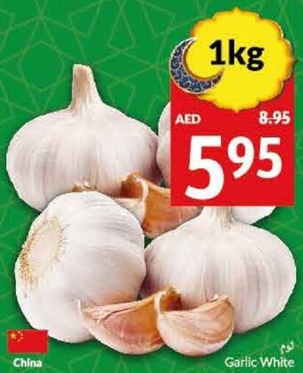 Viva Garlic White offer