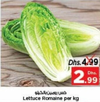 Nesto Lettuce Romaine Per kg offer