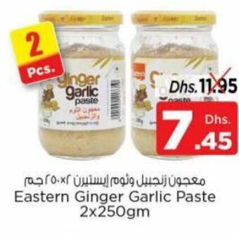 Nesto Eastern Ginger Garlic Paste 2x250gm offer