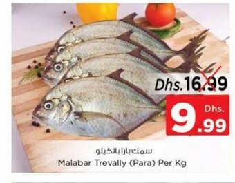 Nesto Malabar Trevally (Para) Per kg offer